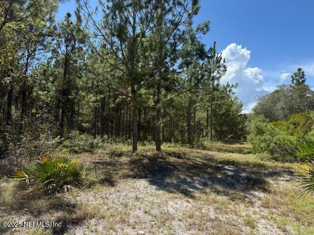 139 LAKEWAY Drive, Georgetown, FL 32139