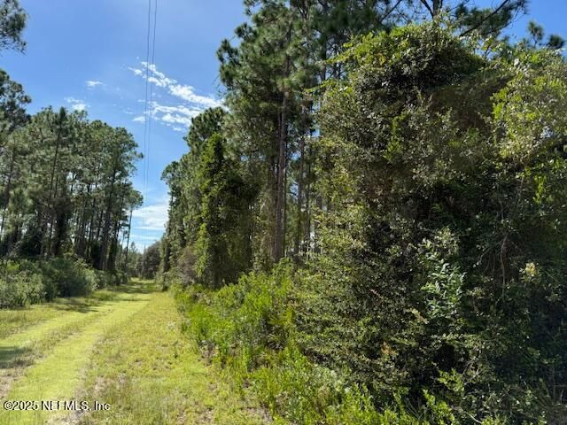139 LAKEWAY Drive, Georgetown, FL 32139
