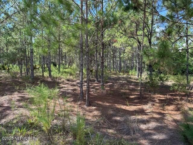 139 LAKEWAY Drive, Georgetown, FL 32139