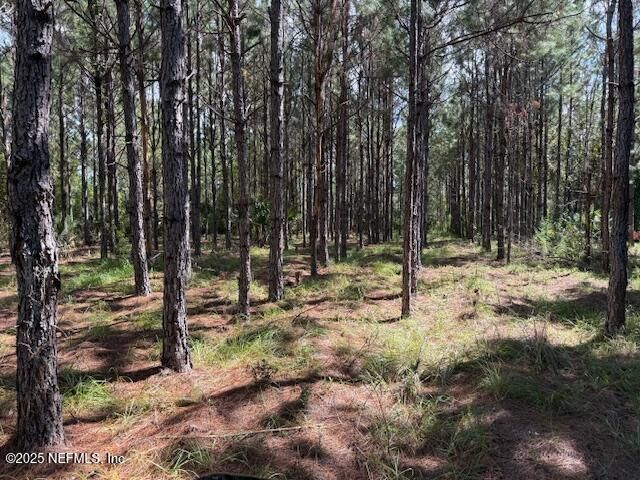 139 LAKEWAY Drive, Georgetown, FL 32139