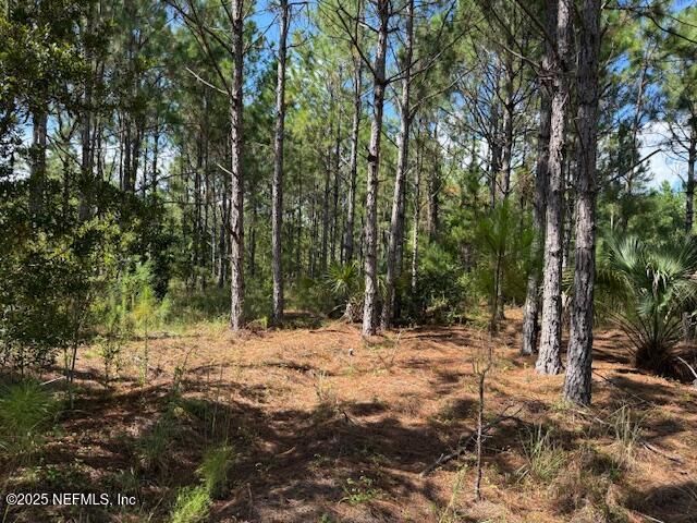 139 LAKEWAY Drive, Georgetown, FL 32139