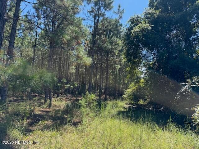139 LAKEWAY Drive, Georgetown, FL 32139