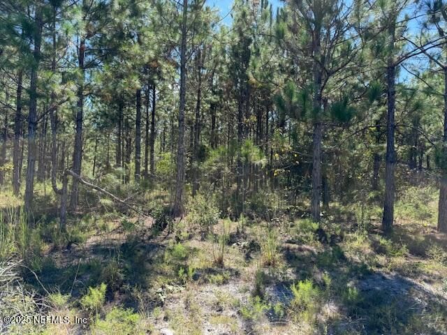 139 LAKEWAY Drive, Georgetown, FL 32139