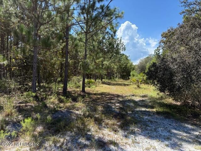 139 LAKEWAY Drive, Georgetown, FL 32139