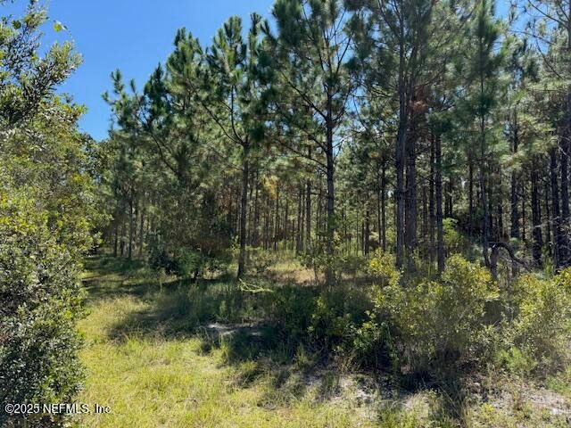 139 LAKEWAY Drive, Georgetown, FL 32139