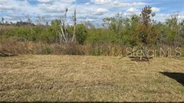1629 TROPICAL OASIS AVENUE, Plant City, FL 33565