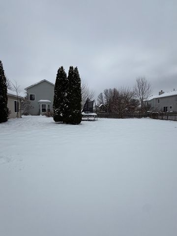 4124 Dobbins Street, Plano, IL 60545