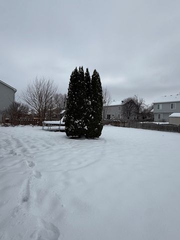 4124 Dobbins Street, Plano, IL 60545