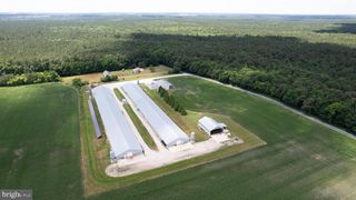 5405 WESLEY RD, Hurlock, MD 21643