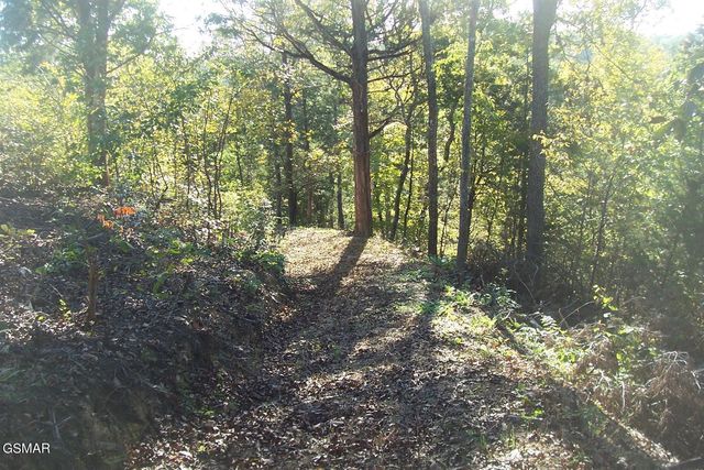 20 Scott St, Sevierville, TN 37876