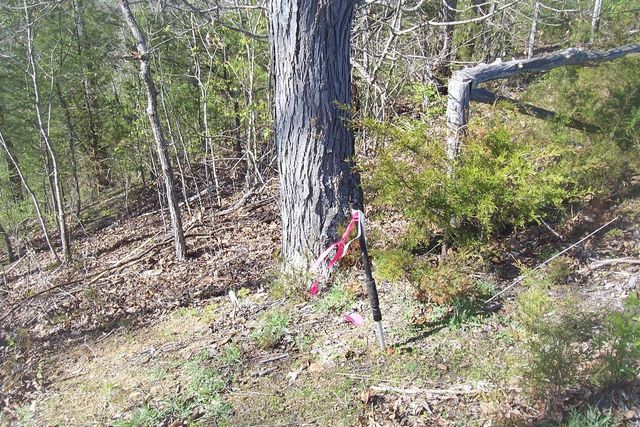 20 Scott St, Sevierville, TN 37876