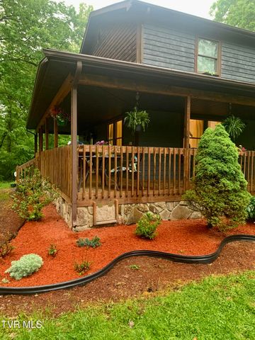 338 Southwest Chalet Drive, Coeburn, VA 24230