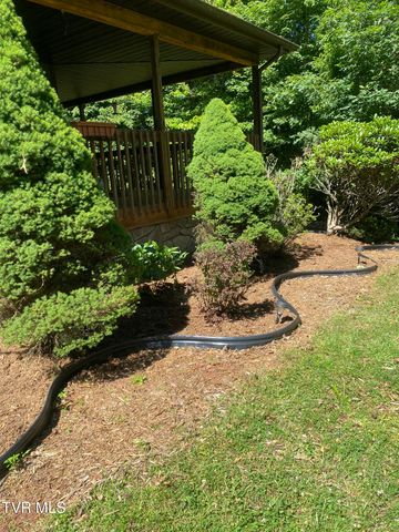 338 Southwest Chalet Drive, Coeburn, VA 24230