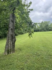 107 Tyne Bay Dr, Hendersonville, TN 37075