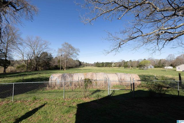 814 HOPEFUL ROAD, Munford, AL 36268