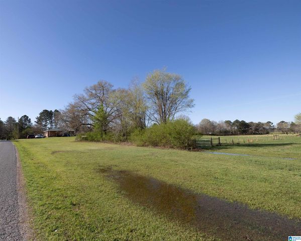 814 HOPEFUL ROAD, Munford, AL 36268