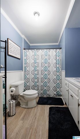 814 HOPEFUL ROAD, Munford, AL 36268