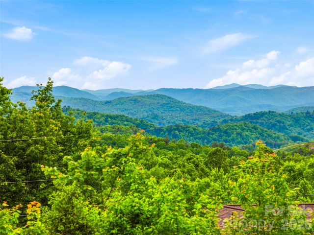 29 Panther Ridge Road, Brevard, NC 28712