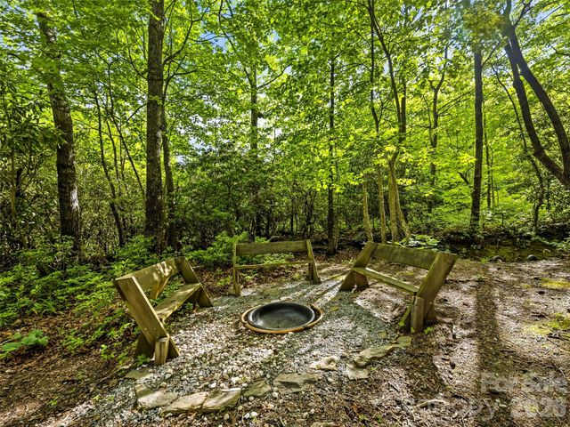 29 Panther Ridge Road, Brevard, NC 28712