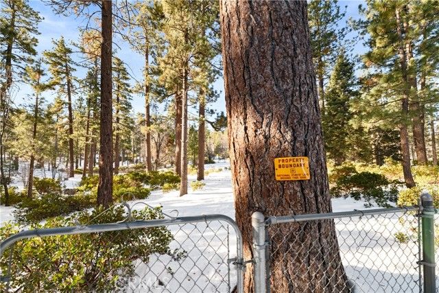 42581 Willow, Big Bear Lake, CA 92315