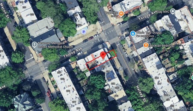 330 Halsey Street, Brooklyn, NY 11216