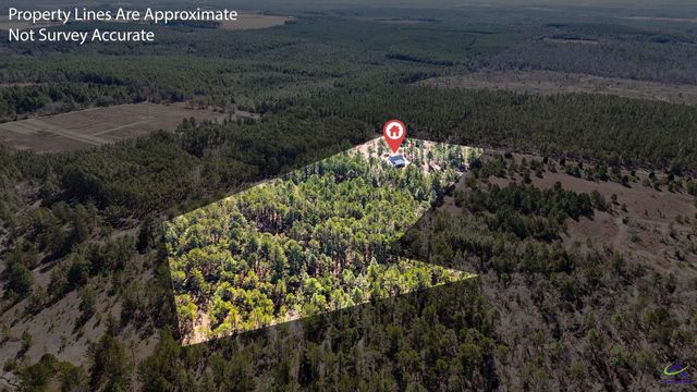 115 Watermelon Lane, Mauk, GA 31058