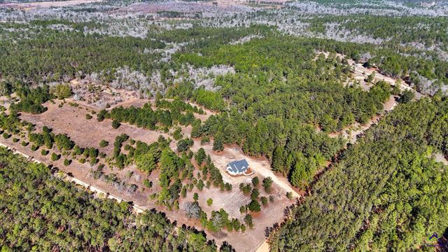 115 Watermelon Lane, Mauk, GA 31058