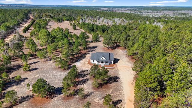 115 Watermelon Lane, Mauk, GA 31058