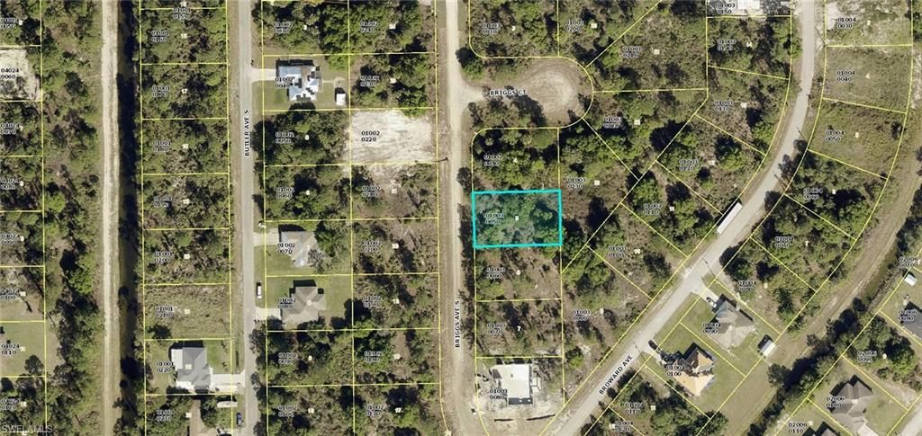313 Briggs AVE S, LEHIGH ACRES, FL 33974 — exterior