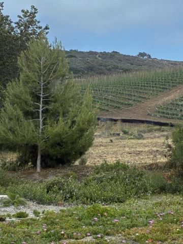 3514 Don Juan Drive, Carlsbad, CA 92010