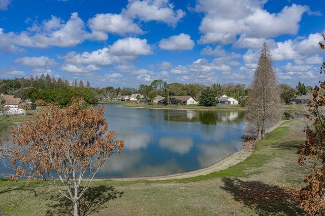 2104 HAYDON COURT, Brandon, FL 33511