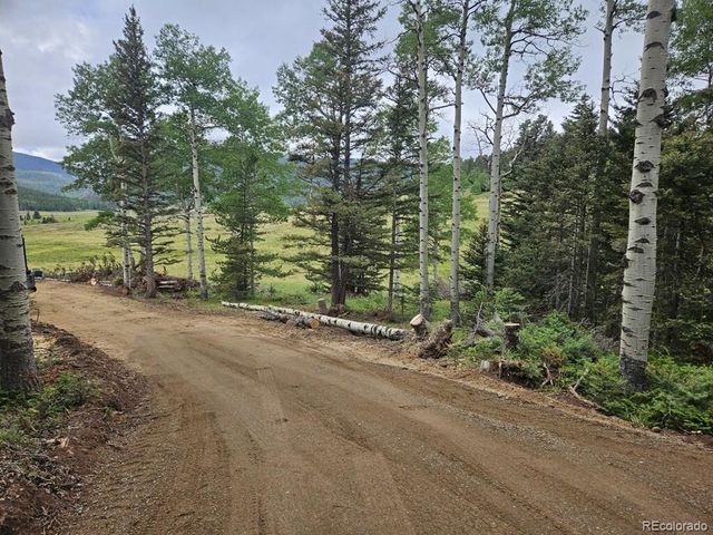 Lot 2841 Wendt Lane, Fort Garland, CO 81133