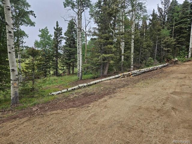 Lot 2841 Wendt Lane, Fort Garland, CO 81133