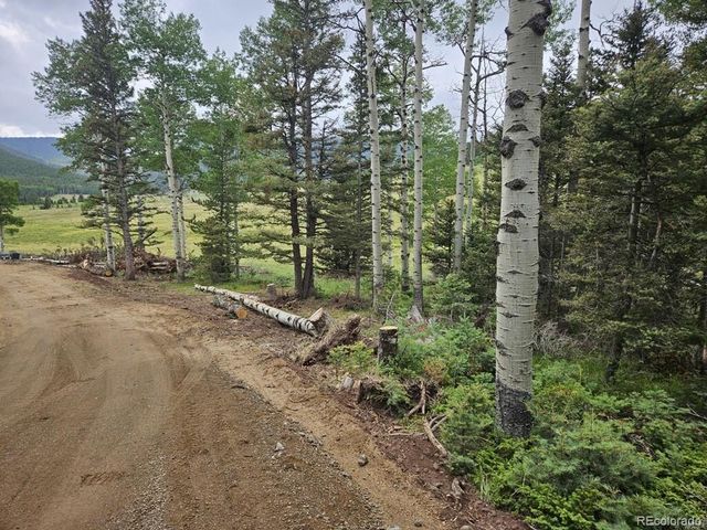 Lot 2841 Wendt Lane, Fort Garland, CO 81133