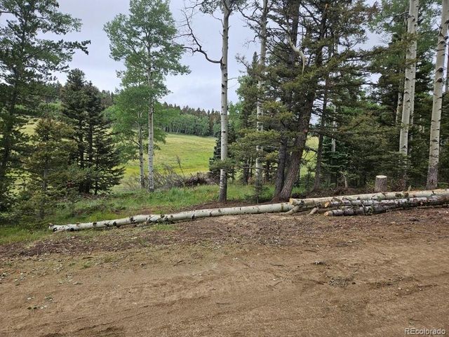 Lot 2841 Wendt Lane, Fort Garland, CO 81133