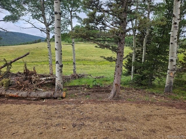 Lot 2841 Wendt Lane, Fort Garland, CO 81133