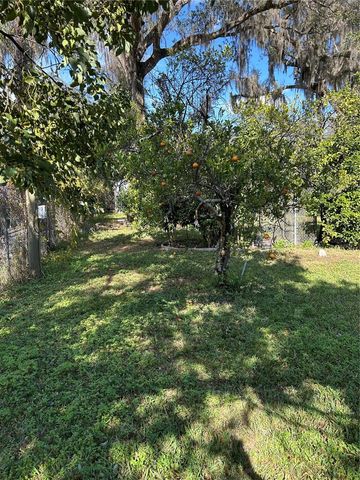 20621 SE HIGHWAY 42, Umatilla, FL 32784