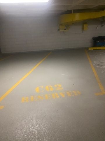 505 N Lake Shore Drive C-62, Chicago, IL 60611