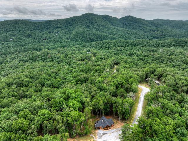 78 Hilltop Way, Mineral Bluff, GA 30559