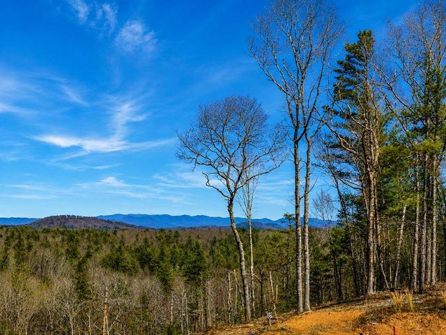 78 Hilltop Way, Mineral Bluff, GA 30559