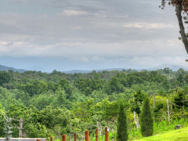 78 Hilltop Way, Mineral Bluff, GA 30559