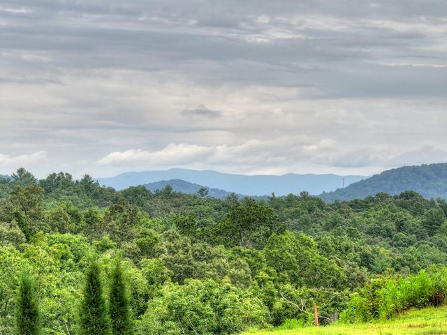78 Hilltop Way, Mineral Bluff, GA 30559