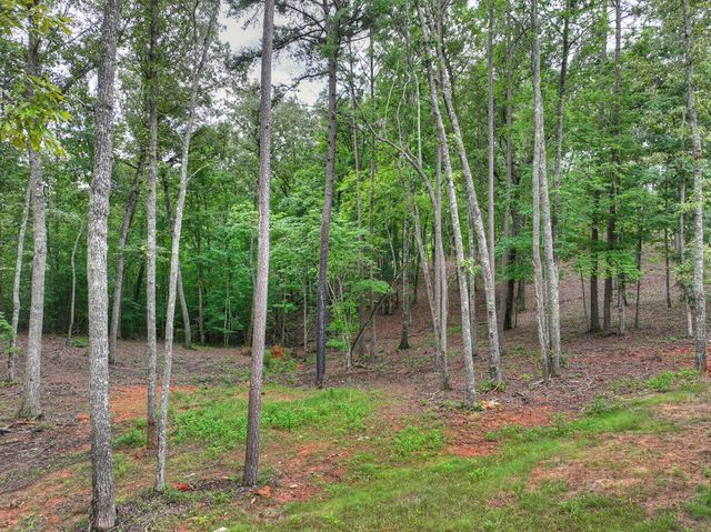 78 Hilltop Way, Mineral Bluff, GA 30559