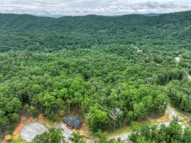 78 Hilltop Way, Mineral Bluff, GA 30559