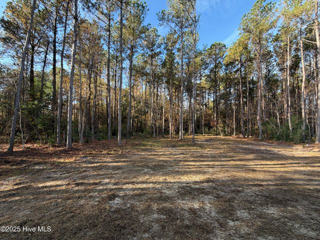 1152 Watts Landing Road, Hampstead, NC 28443