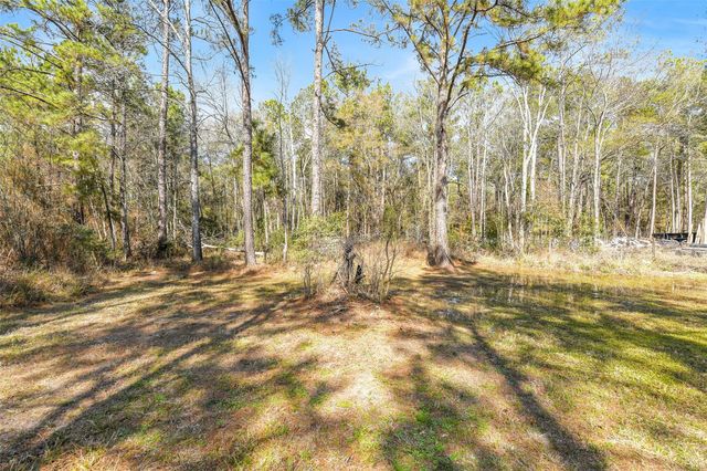 21507 Juliann Alyes, Porter, TX 77365