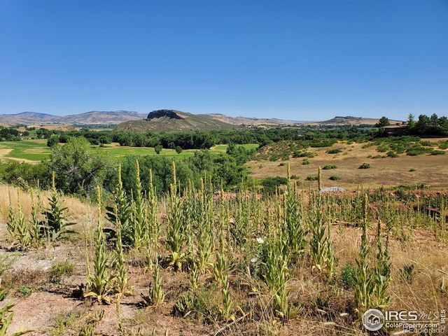 4516 Bingham Hill Road, Fort Collins, CO 80521