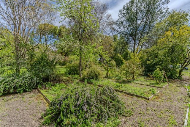 10690 White Oak Rd, Plymouth, CA 95669