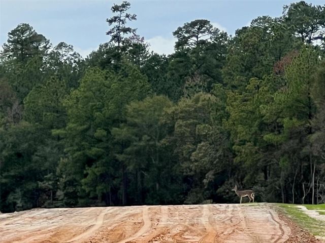 169 Splendid Road, New Waverly, TX 77358