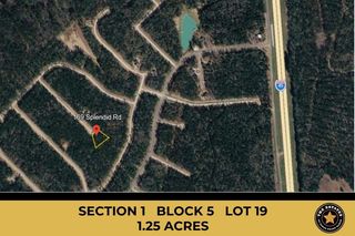 169 Splendid Road, New Waverly, TX 77358